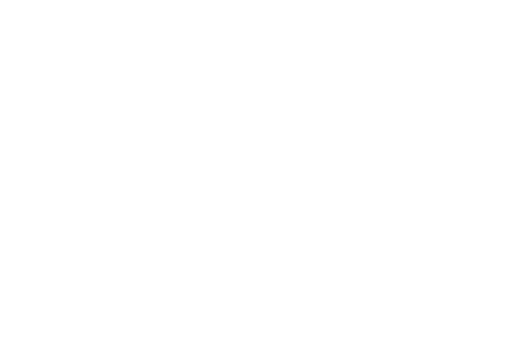 BegleyBrown Logo