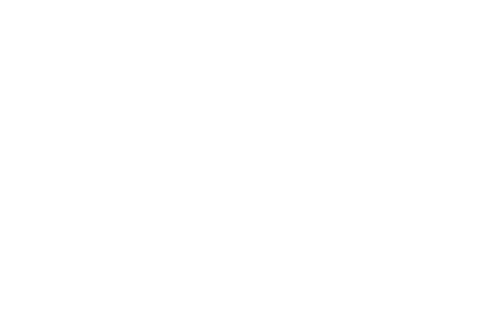 Capability Scotland logo