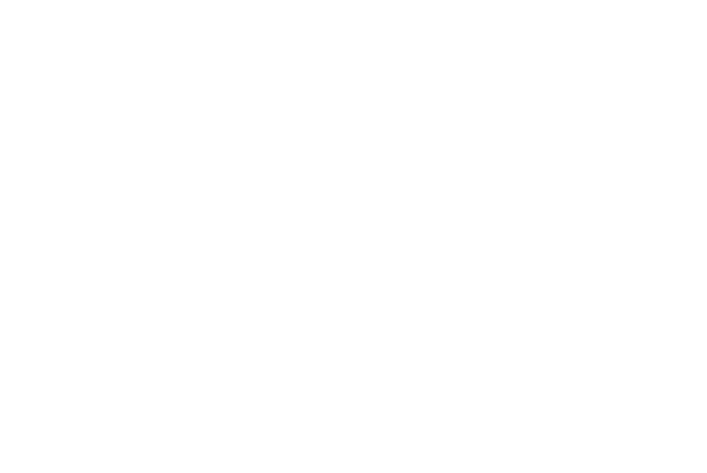 New Nutrition Logo