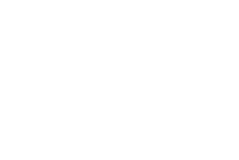 Skypark Logo