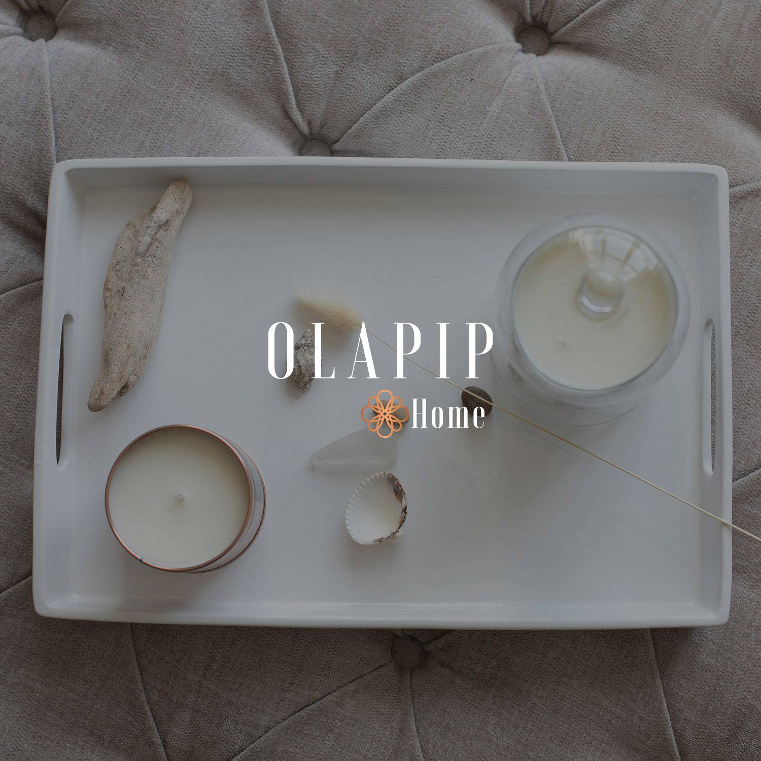 Olapip Home