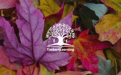 Timber4Learning