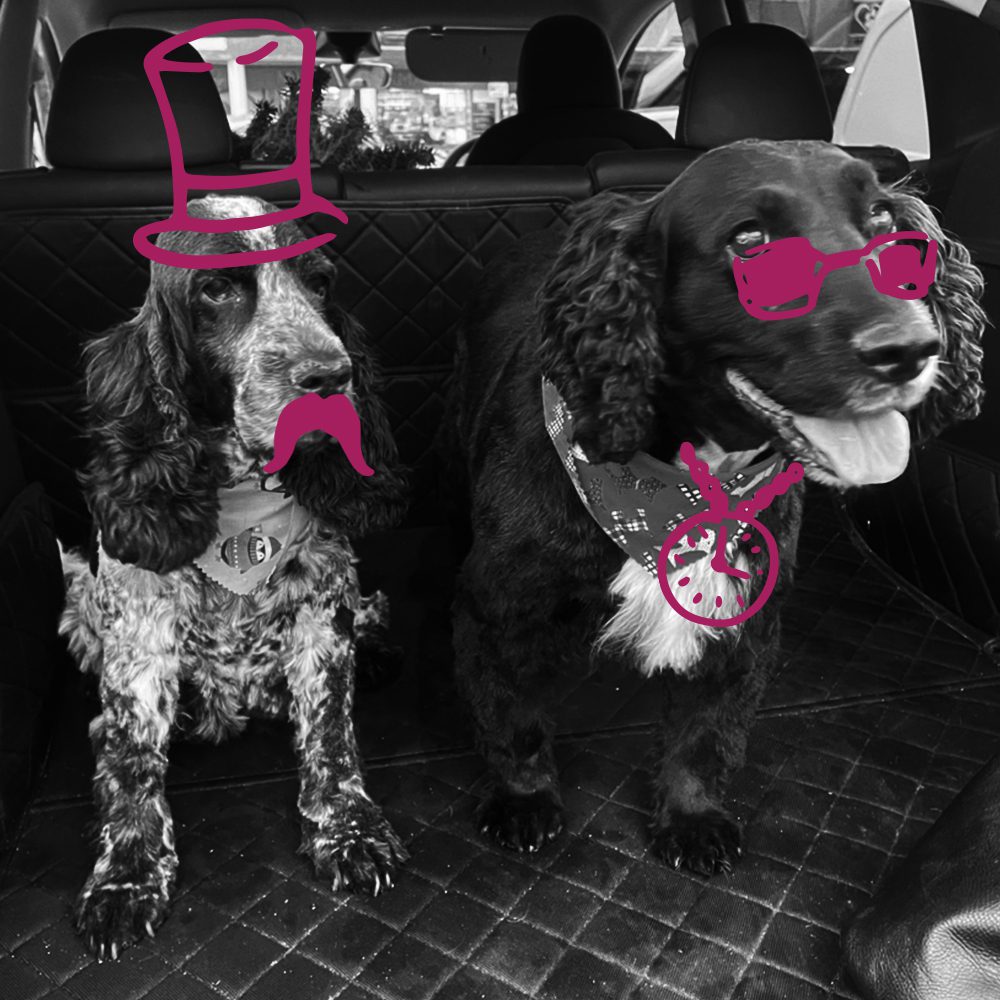 doggos-2