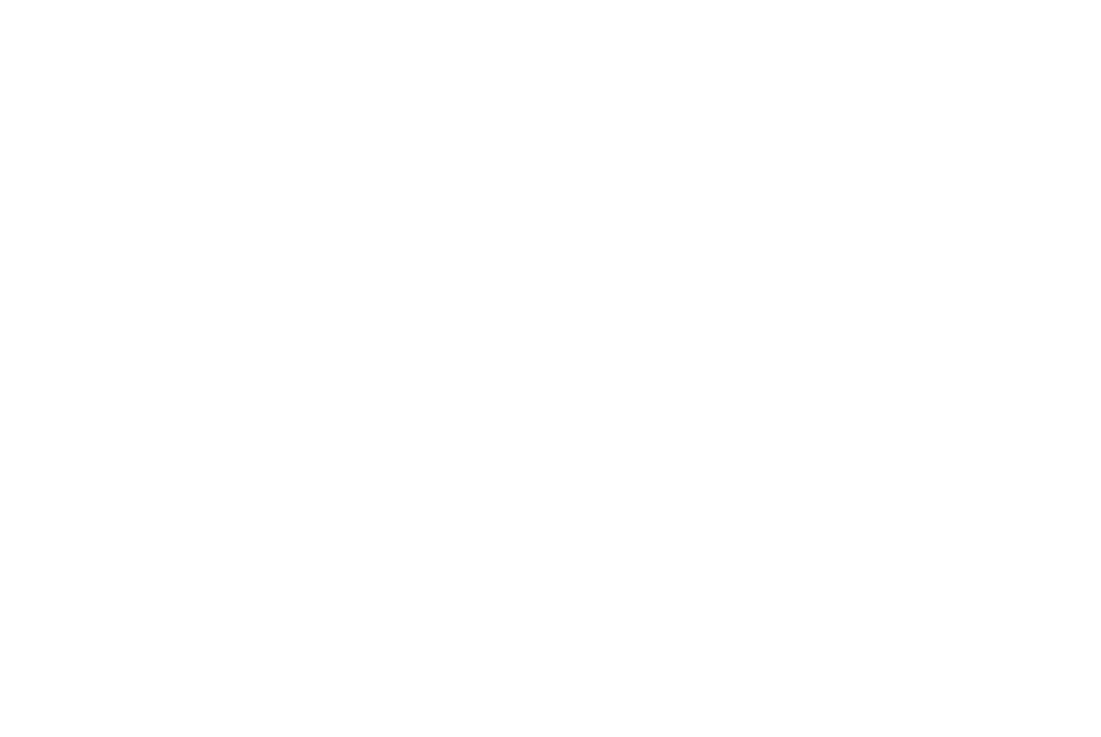 IrnBru Logo